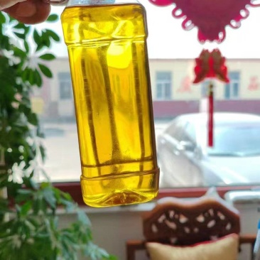 优质棉籽油，食用油好吃不贵，价格优惠