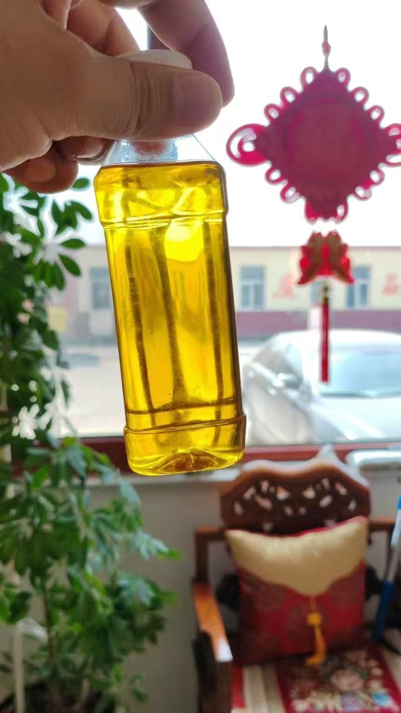 优质棉籽油，食用油好吃不贵，价格优惠