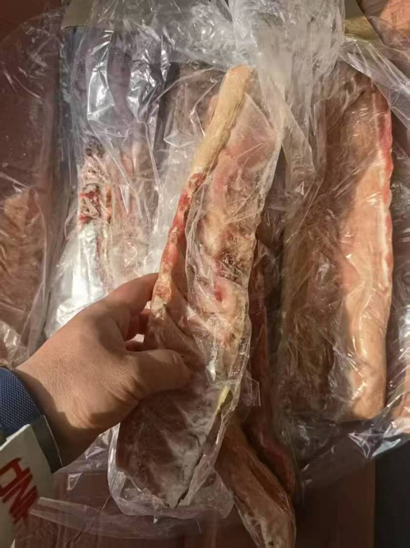 肥猪龙骨