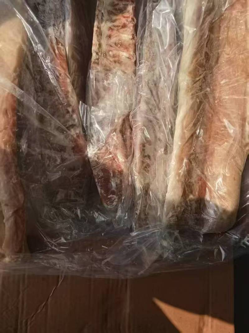 肥猪龙骨