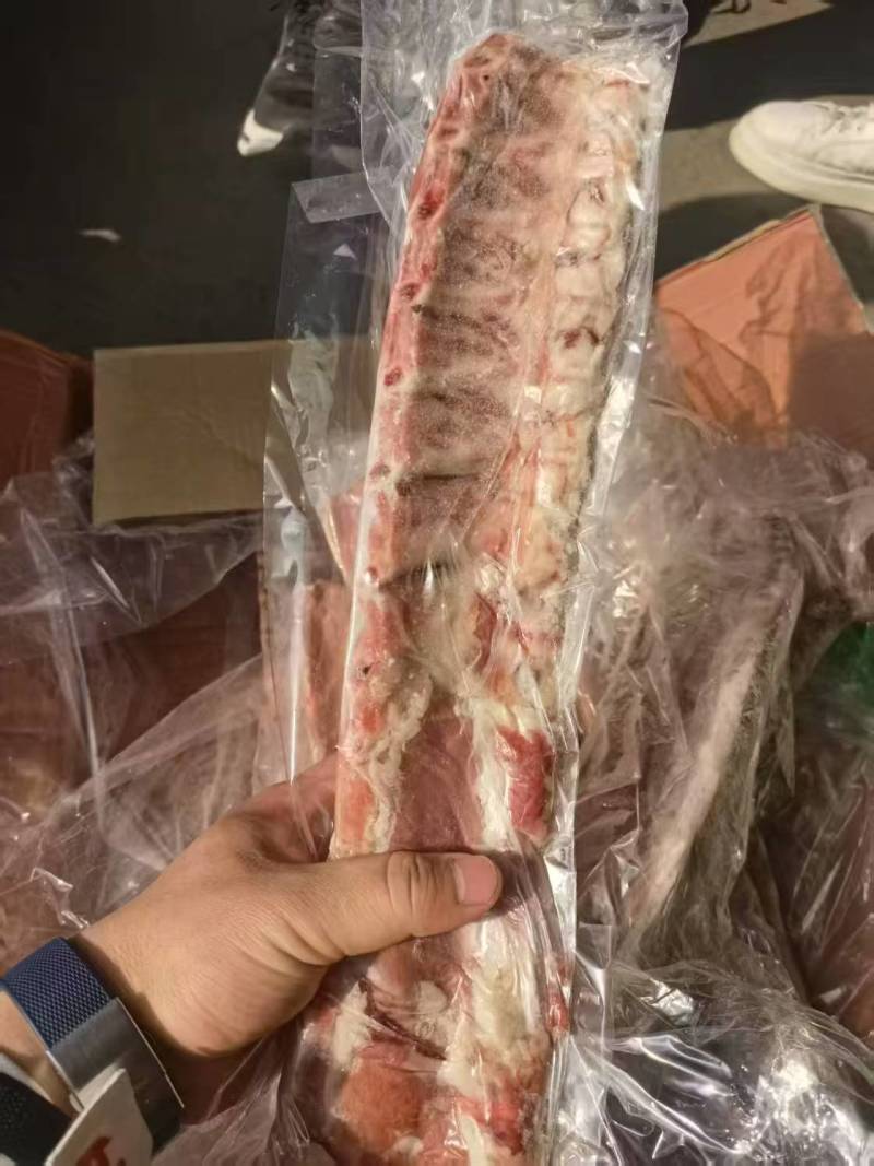 肥猪龙骨