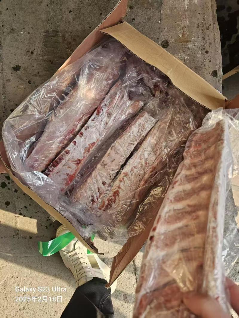 肥猪龙骨