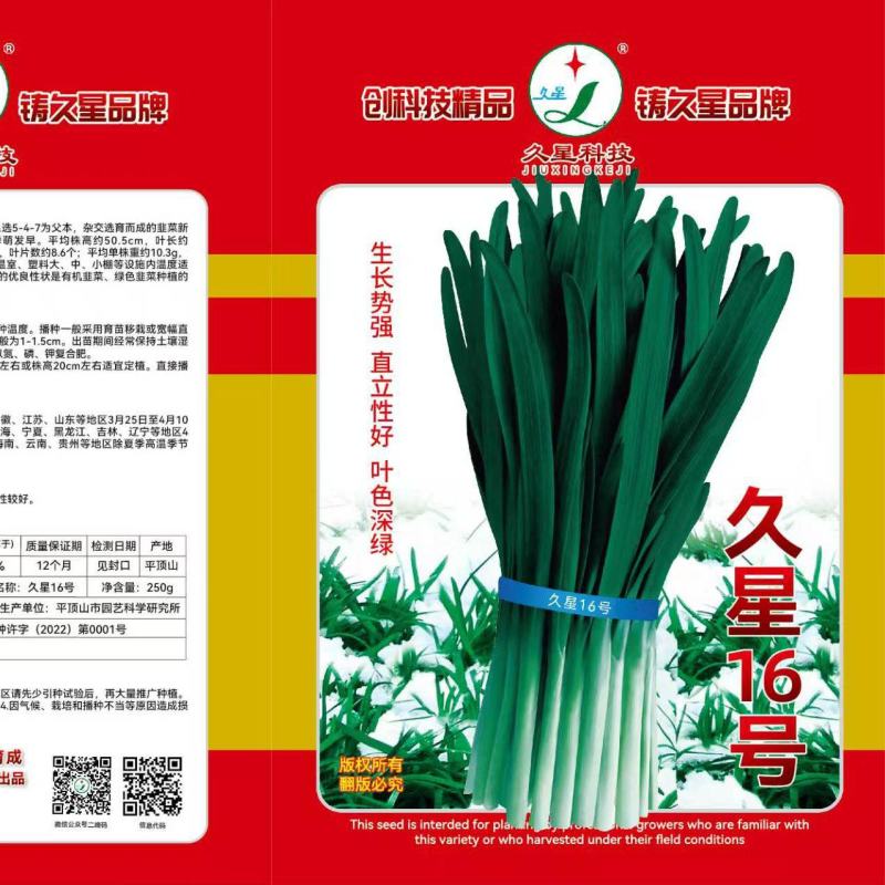 久星16韭菜种子，不休眠且叶色深绿，高抗病
