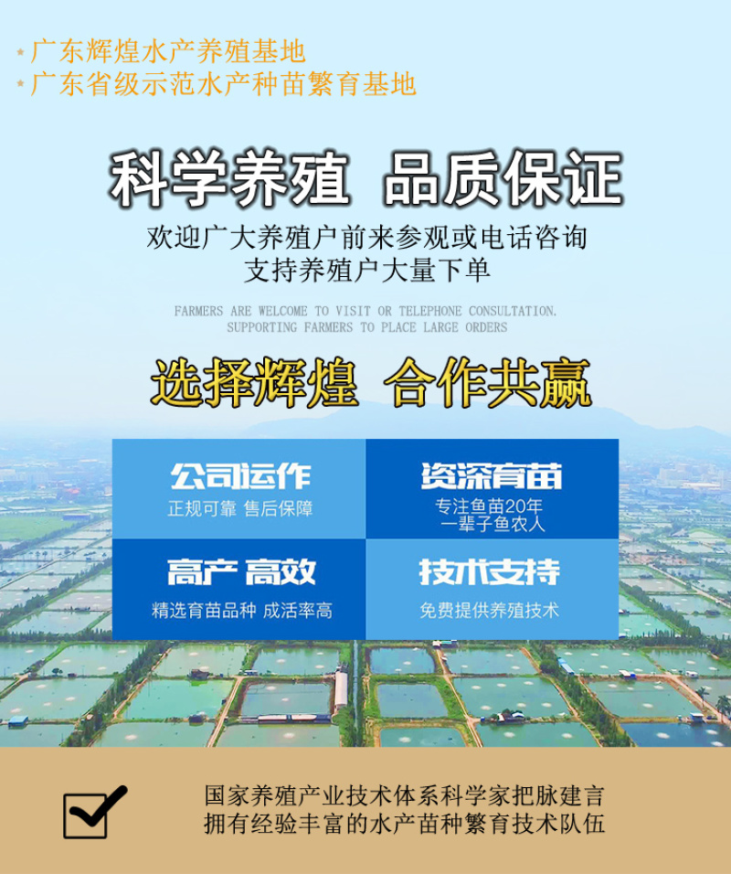 赤眼鳟鱼苗红眼鱼苗基地直销自产自销