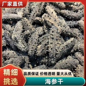 福建国标淡干海参涨发13斤质量保证带检测报告