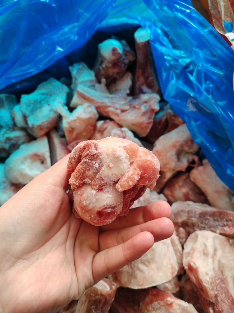 龙大前肘骨