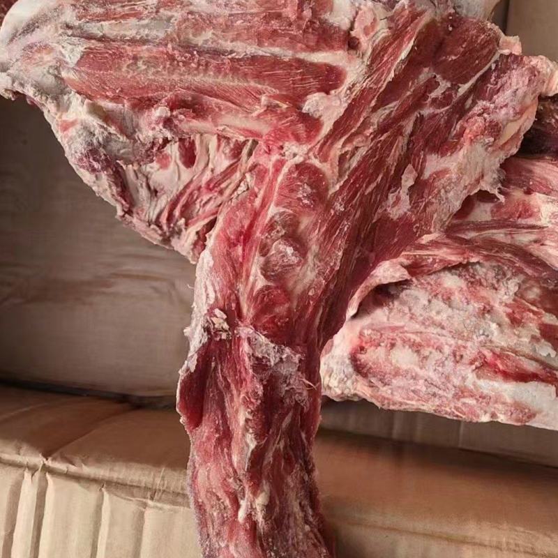 加肉羊方肩