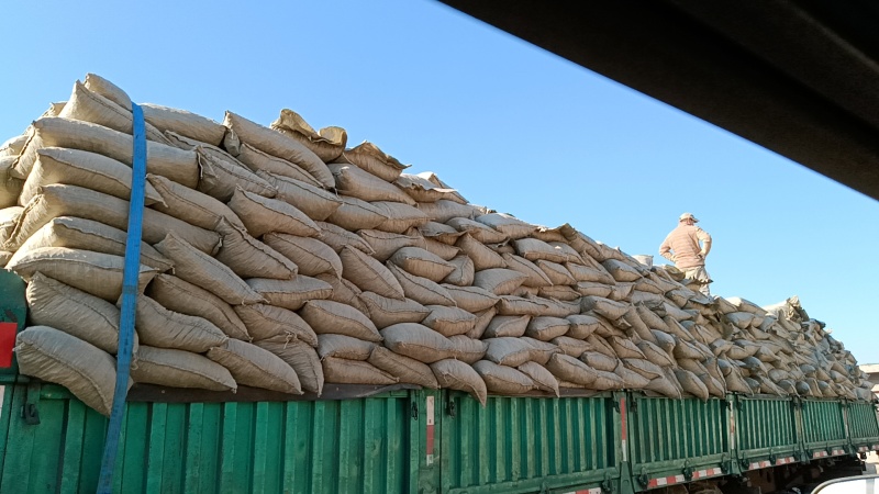 生物质燃烧颗粒燃料燃烧颗粒碳化秸秆厂家直供保质保量