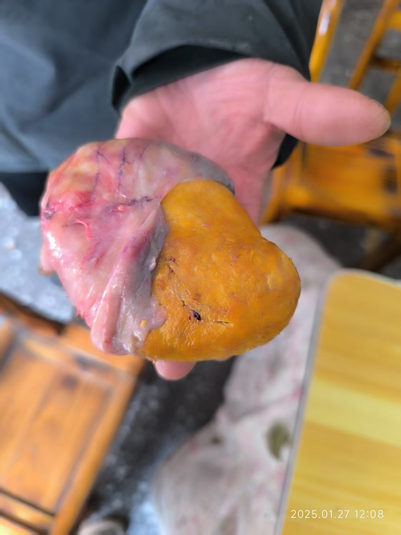 鸡宝出卖