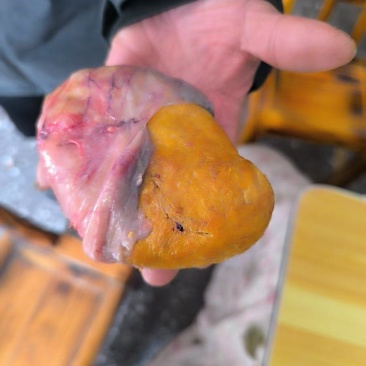 鸡宝