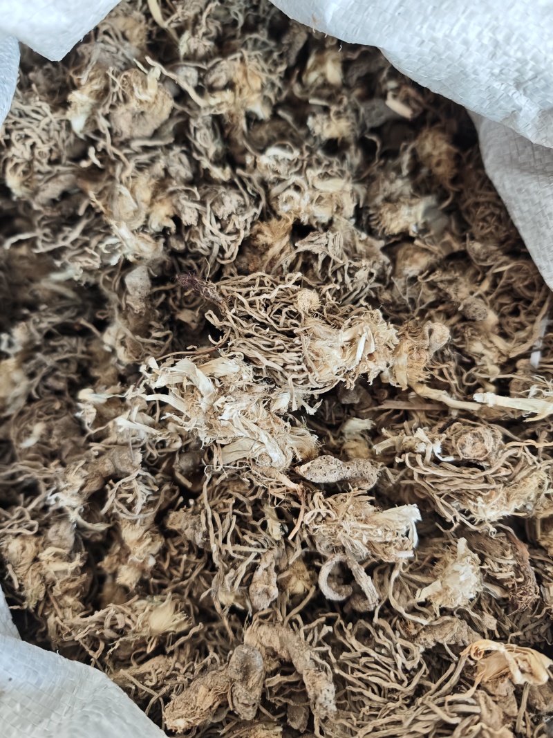 中药材水洗韭菜根1公斤干韭菜根起阳草起阳草根