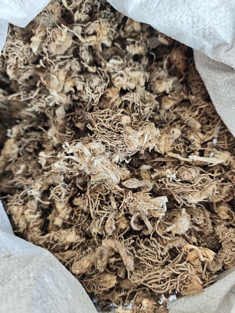 中药材水洗韭菜根1公斤干韭菜根起阳草起阳草根
