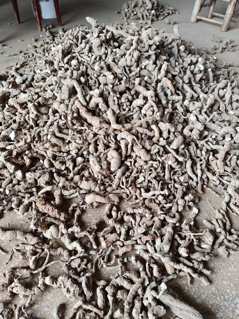 江西防己段粉防己段一手货源基地直发欢迎老板洽谈