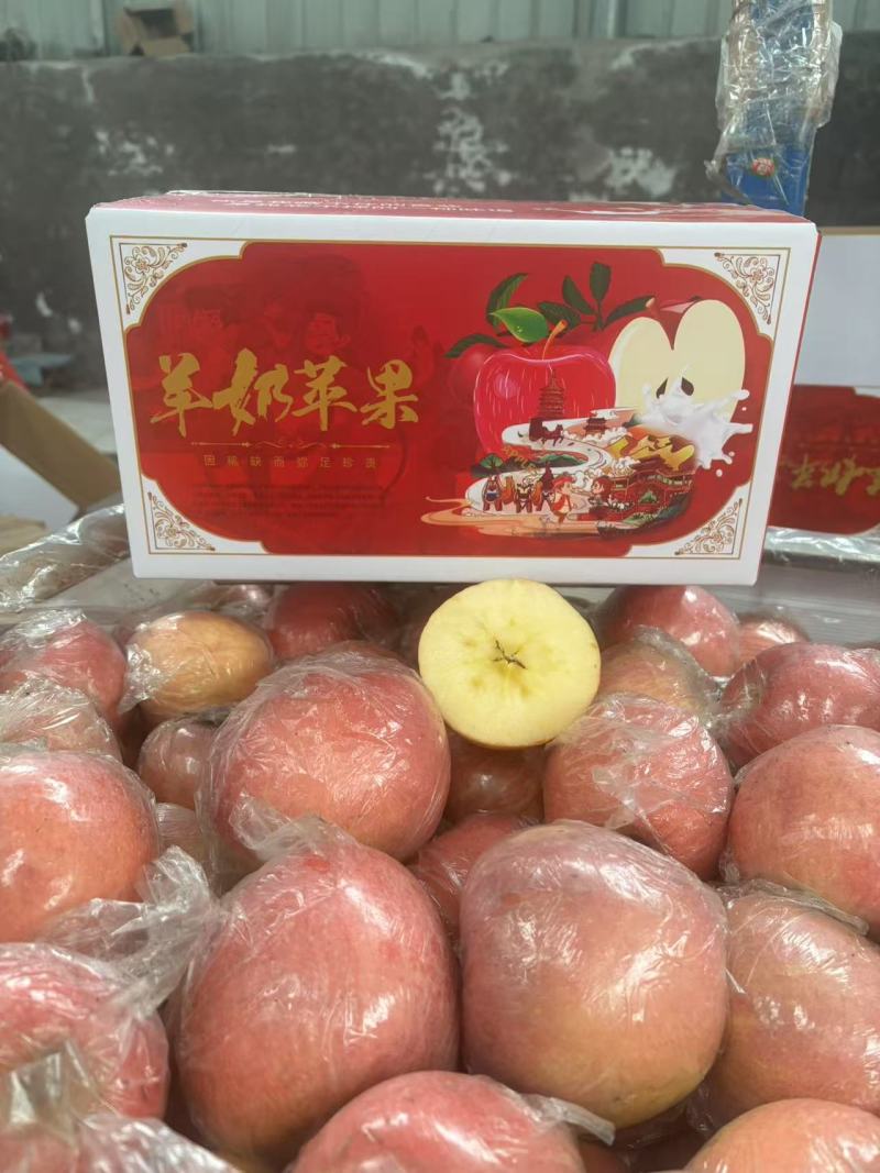社区团购高山羊奶苹果产地直采