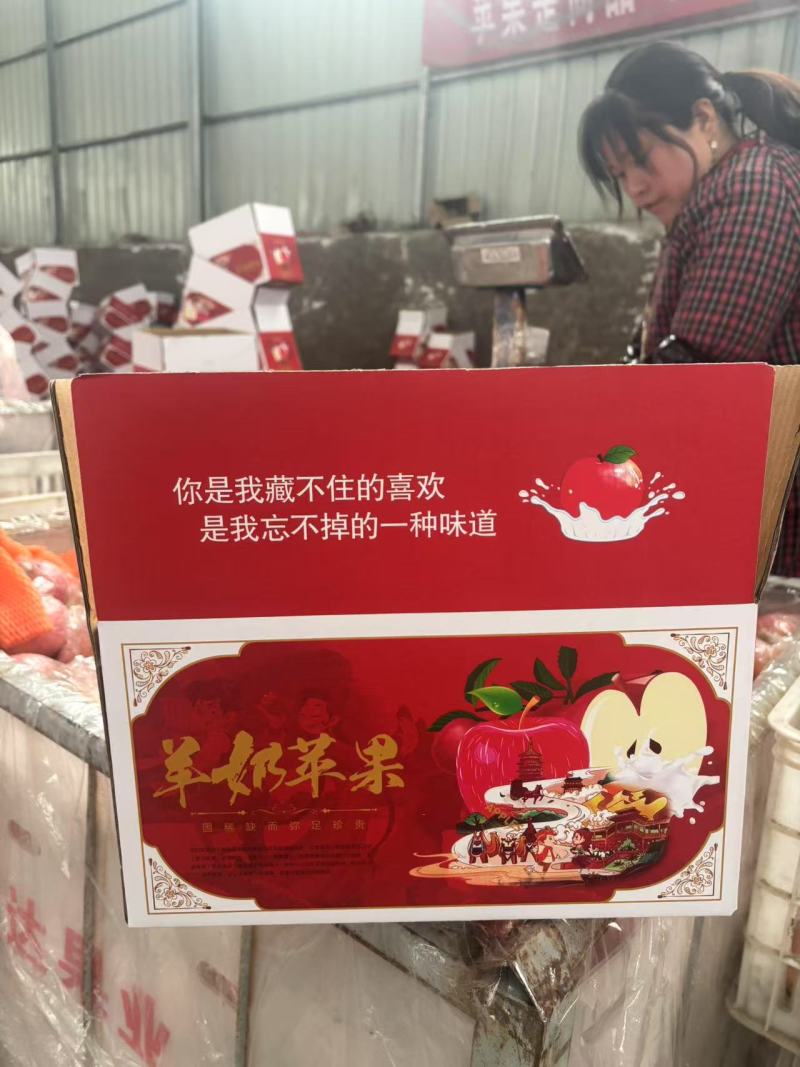 社区团购高山羊奶苹果产地直采