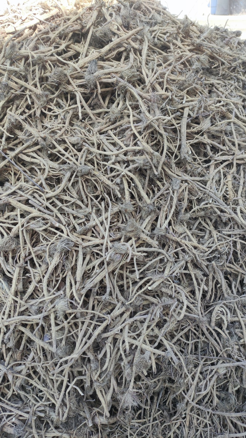 防风