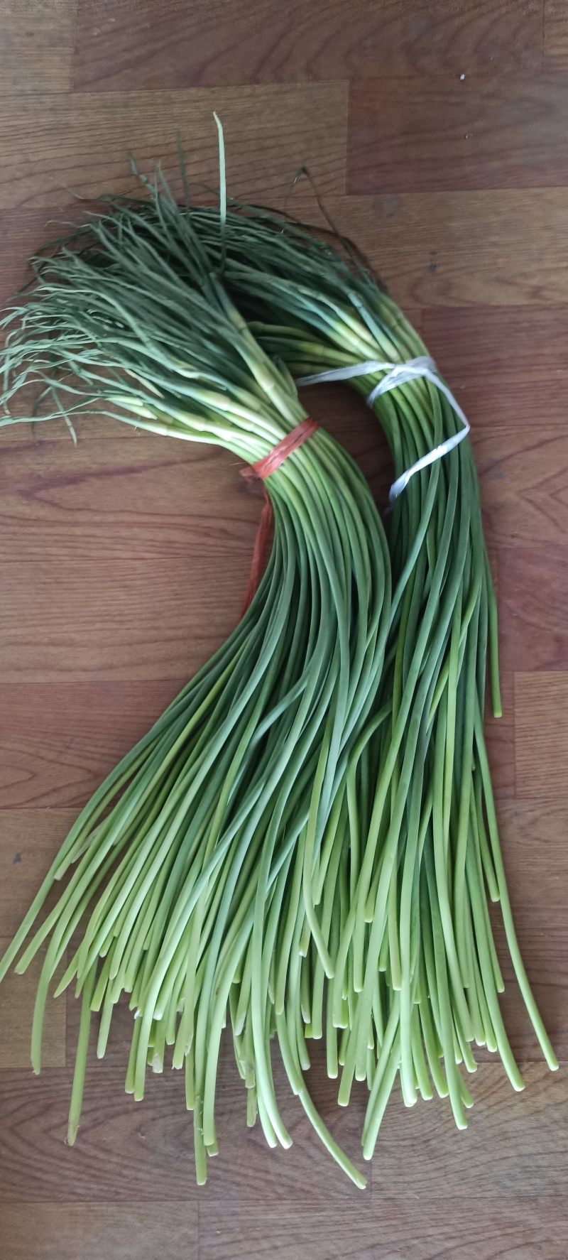 山东金乡蒜苔精品蒜薹产地直发冷库存储量大从优代发全国
