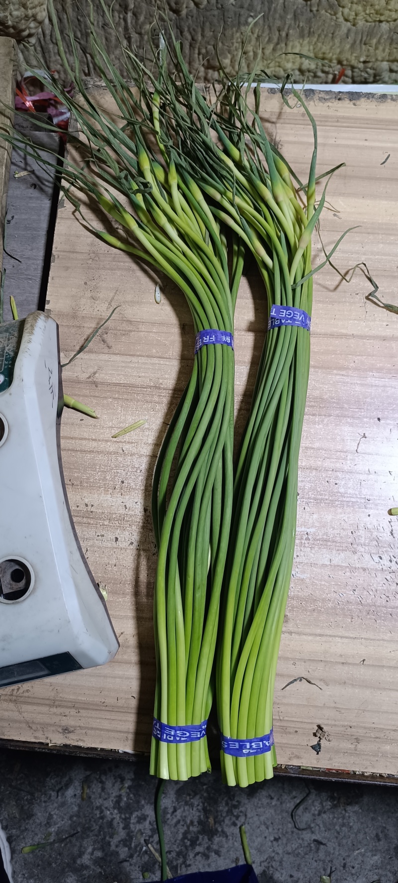 山东金乡蒜苔精品蒜薹产地直发冷库存储量大从优代发全国