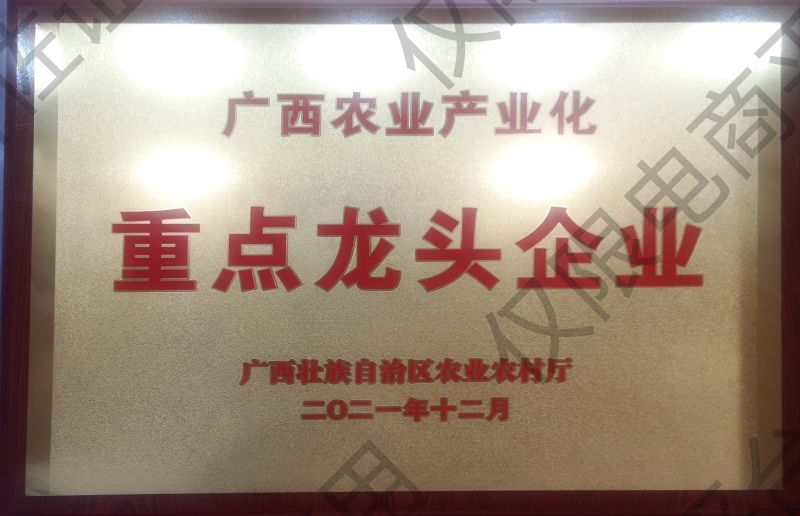 紫米/紫黑香米/紫米胚芽米/饭团紫米/梯田新米