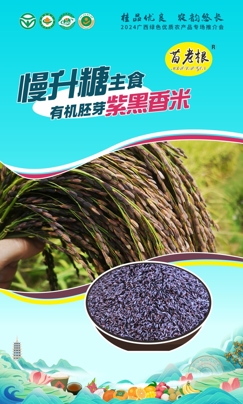 紫米/紫黑香米/紫米胚芽米/饭团紫米/梯田新米