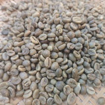 罗豆咖啡豆生豆18目13目二级现货