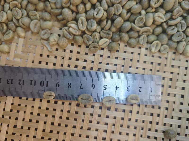 罗豆咖啡豆生豆18目13目二级现货
