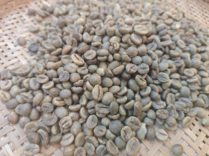 罗豆咖啡豆生豆18目13目二级现货