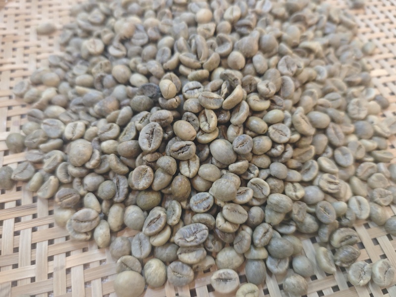 罗豆咖啡豆生豆18目13目二级现货