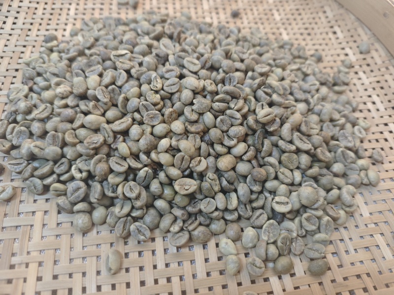 罗豆咖啡豆生豆18目13目二级现货