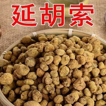汉中市城固县延胡索元胡质量保证欢迎咨询