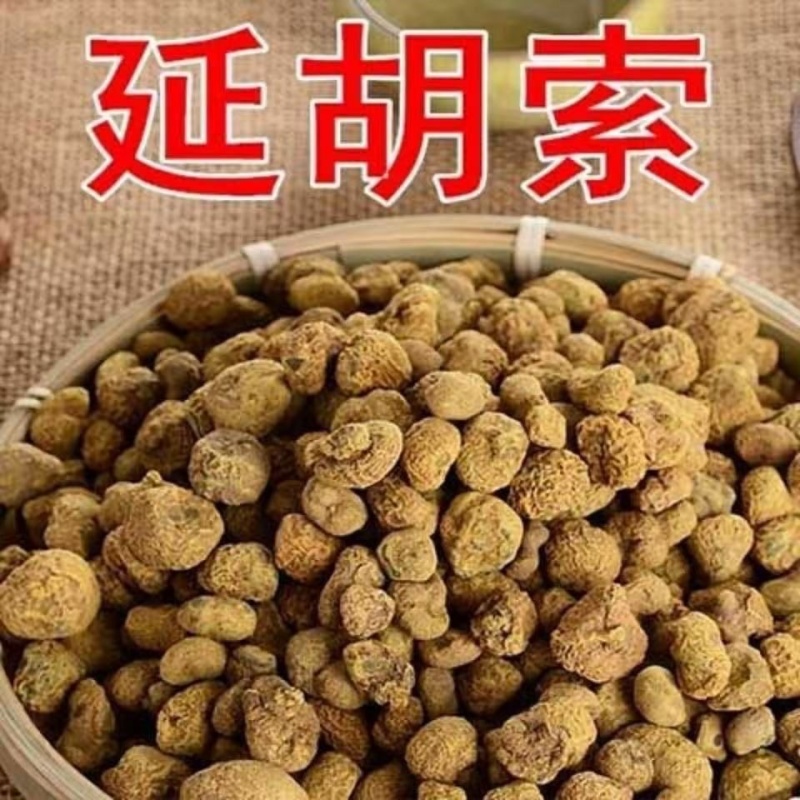 汉中市城固县延胡索元胡质量保证欢迎咨询