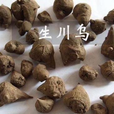 附子产地自产自销乌药干货，个头均匀，鲜活干货出售