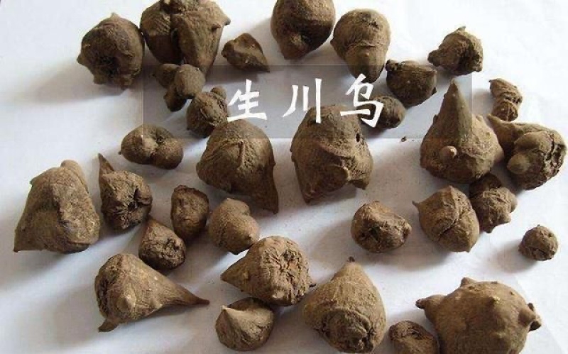 附子产地自产自销乌药干货，个头均匀，鲜活干货出售