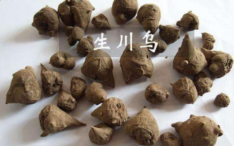 附子产地自产自销乌药干货，个头均匀，鲜活干货出售