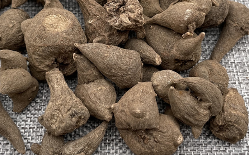 附子产地自产自销乌药干货，个头均匀，鲜活干货出售