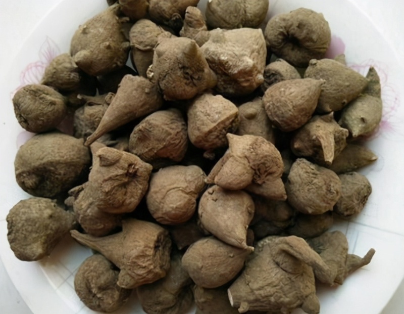 附子产地自产自销乌药干货，个头均匀，鲜活干货出售