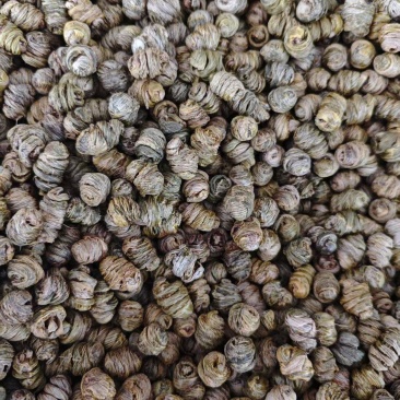 铁皮石斛