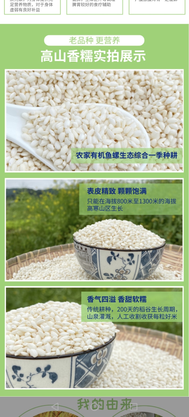 高山香糯米/梯田香糯米/酿甜酒糯米/糯米/老禾糯米