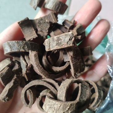 中药材核桃树皮1公斤山核桃树皮正品老核桃树皮