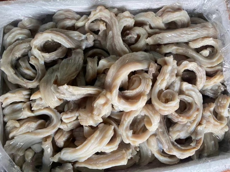 优质爽口脆红肠鲨鱼肠鲨鱼肚脆肚肚丝煲汤火锅烤串深海新鲜沙