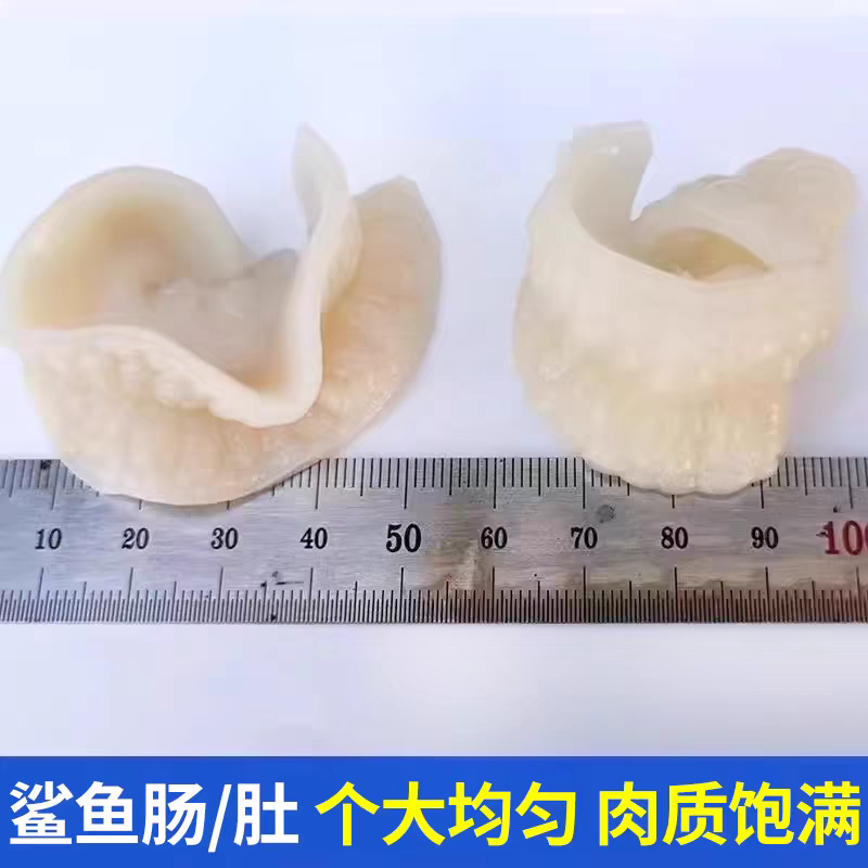 优质爽口脆红肠鲨鱼肠鲨鱼肚脆肚肚丝煲汤火锅烤串深海新鲜沙