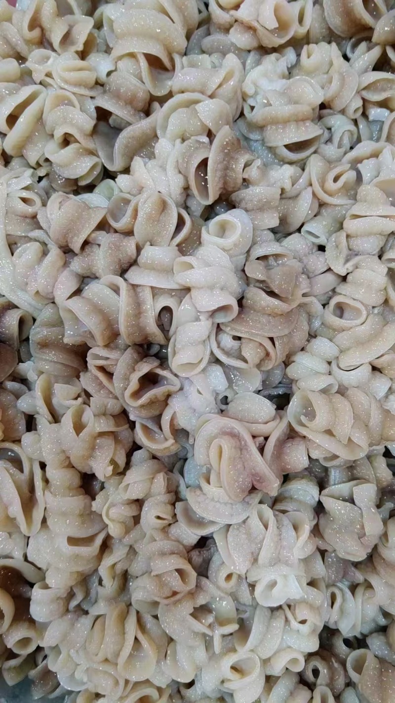 优质爽口脆红肠鲨鱼肠鲨鱼肚脆肚肚丝煲汤火锅烤串深海新鲜沙