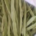 山东白芸豆万亩基地产地直供价格合理代发全国