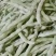 山东白芸豆万亩基地产地直供价格合理代发全国