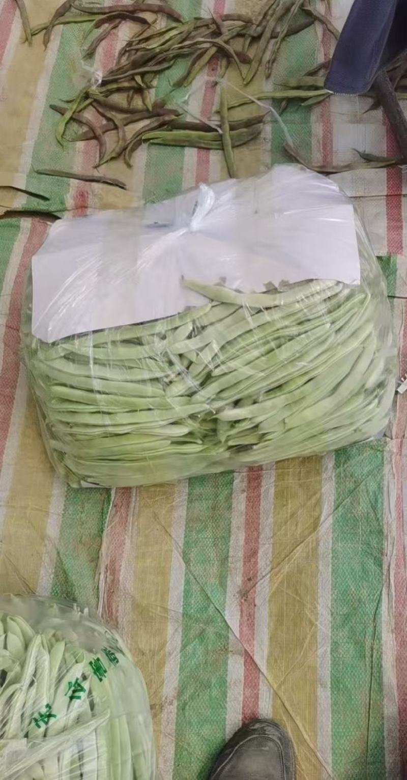 山东白芸豆万亩基地产地直供价格合理代发全国