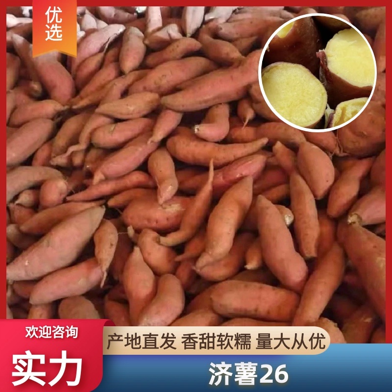 【热卖】济薯26规格齐全，发往全国商超，供应电商