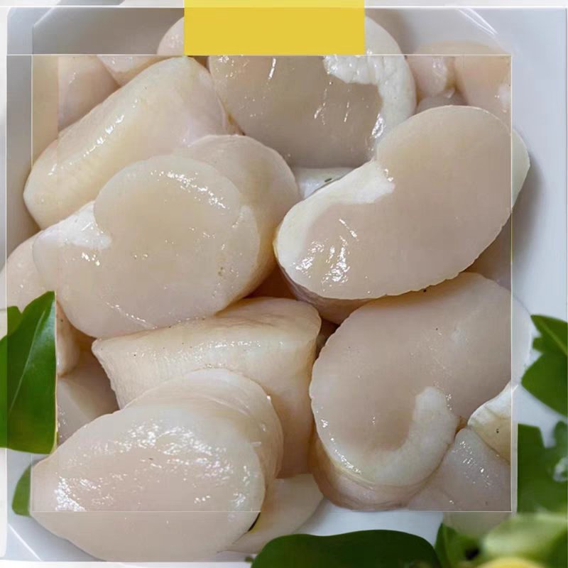 大带子肉新鲜瑶柱鲜贝柱海贝肉海鲜刺身无冰