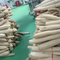 精品丝瓜络46一斤50斤起批