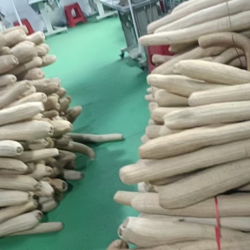 精品丝瓜络46一斤50斤起批