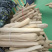 精品丝瓜络46一斤50斤起批